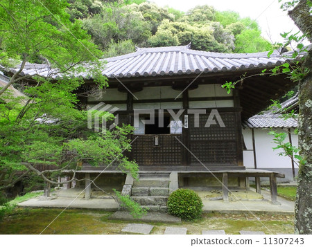 Negori-ji Temple 11307243