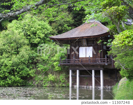 Nekoji寺 11307248
