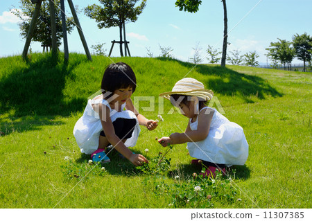 夏日公園2 夏日公園2 11307385