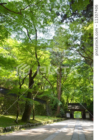 Spring Kaori-ji Temple at Kastan River 11307406
