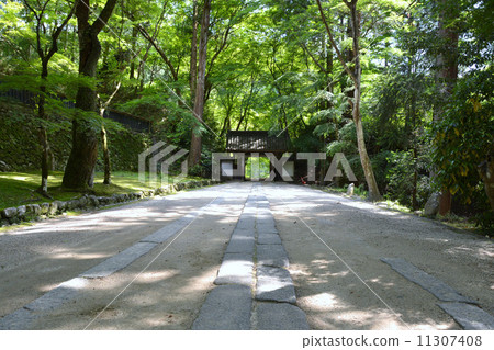 Spring Kaori-ji Temple at Kastan River 11307408