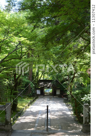 卡拉曼諾斯基的春天Kaoriji寺廟 11307412