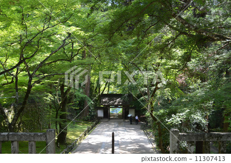 Spring Kaoriji Temple of Karamanoseki 11307413