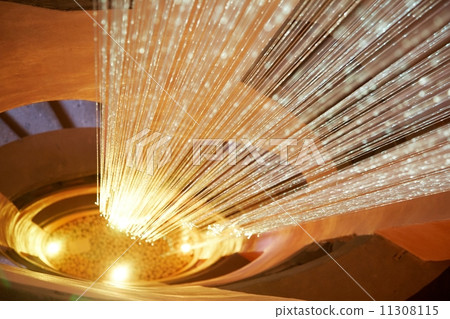 Optical fibers 11308115