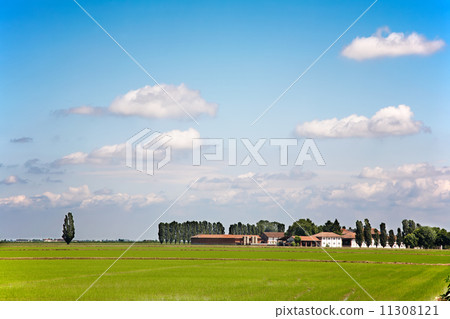 Rural landscape 11308121
