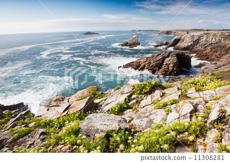 Rocky coastline Rocky coastline 11308281