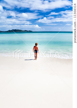 Child walking on a tropical beach 11308314