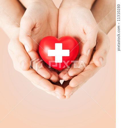 male and female hands with red heart 11310280
