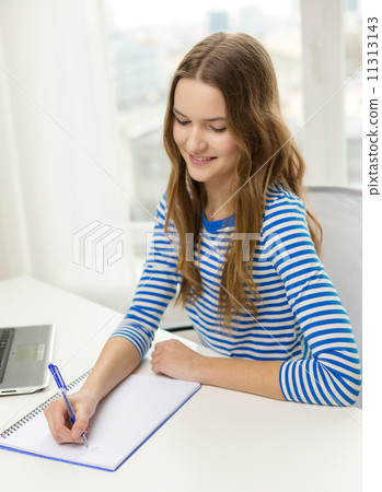 smiling teenage girl laptop computer and notebook smiling teenage girl laptop computer and notebook 11313143