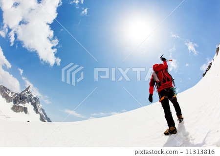 Reaching the summit 11313816