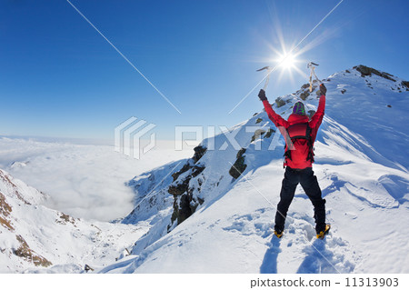 Mountaineer reaches the top of a snowy mountain in a sunny winte Mountaineer reaches the top of a snowy mountain in a sunny winte 11313903