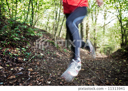 Cross country running Cross country running 11313941