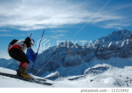Slalom Ski racer Slalom Ski racer 11313942