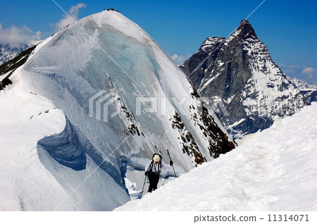 BACKCOUNTRY SKIERS 11314071