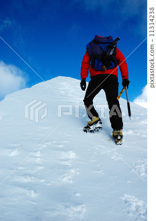 Mountaineer 11314238