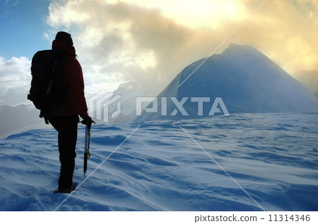 Mountaineer 11314346