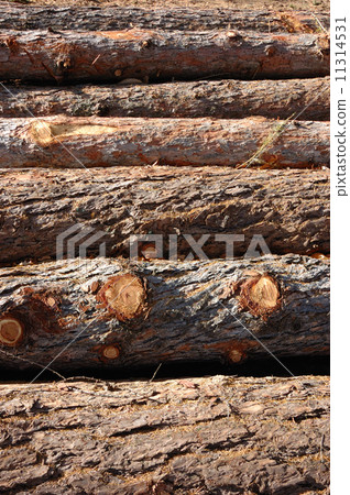 Stack of wood Stack of wood 11314531