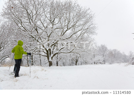 Snowshoeing 11314580