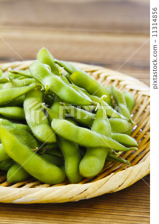 毛豆 毛豆 11314856