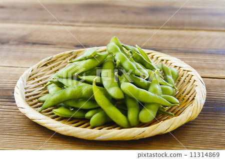 毛豆 11314869