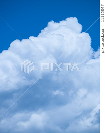 夏の雲 11315047