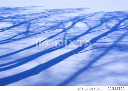 The shade of trees growing on the snowy field The shade of trees growing on the snowy field 11315131