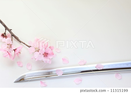 日本劍和櫻花花瓣 日本劍和櫻花花瓣 11315199