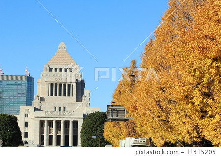 Autumn Parliament Building 11315205