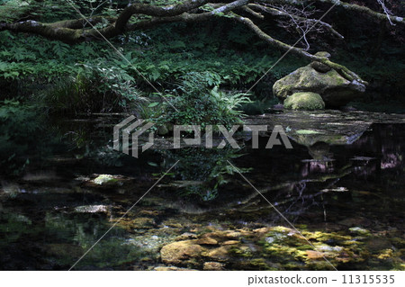 Clear water Clear water 11315535