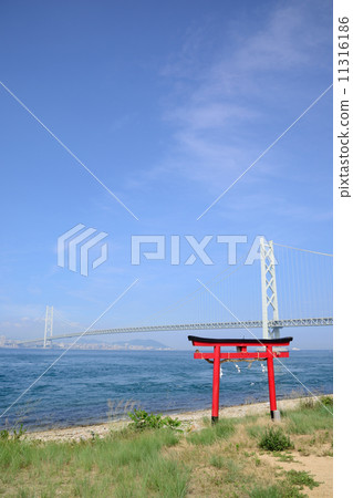 Akashi Kaikyo Bridge 11316186