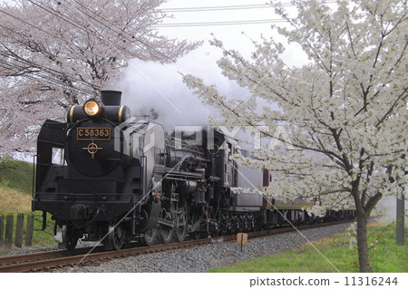 Spring Chichibu Railway SL Spring Chichibu Railway SL 11316244
