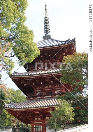 Sisterkyūji 11316378