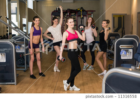 Group of women Group of women 11316558
