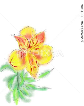 花圖 花圖 11316882
