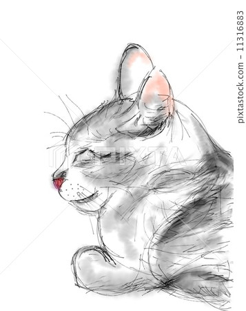 貓的插圖 貓的插圖 11316883