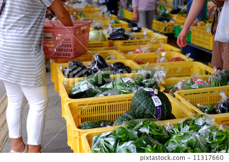 Road station vegetables Road station vegetables 11317660