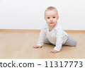 little baby crawling 11317773
