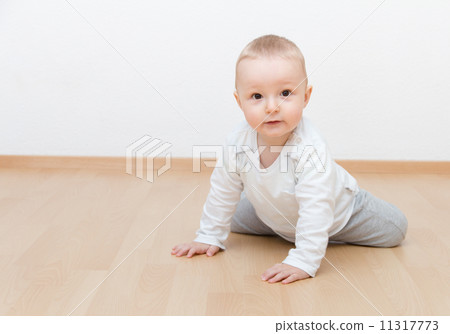 little baby crawling little baby crawling 11317773