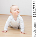 happy baby crawling 11317774