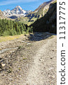 mountain in the Alps in summer 11317775