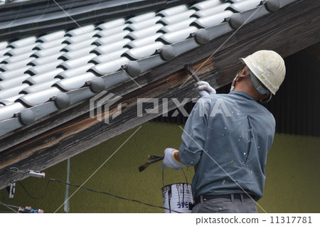 Painter Painter 11317781