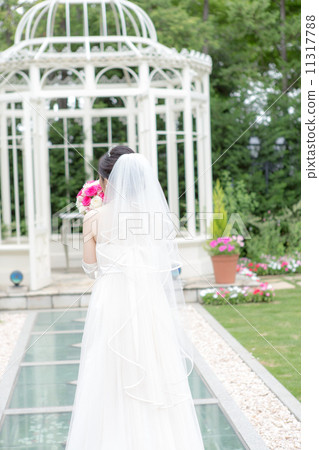 Bride garden 11317788