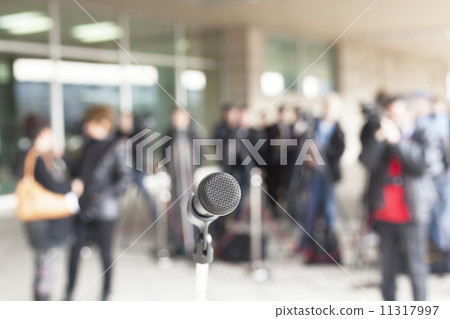 Microphone  11317997