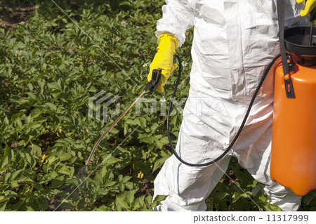 Pesticide spraying 11317999