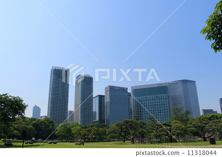 Hama Rikyu Imperial Garden and Shiodome Tall Buildings 11318044