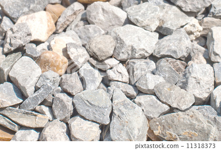 pebble pebble 11318373