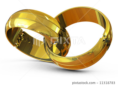 the wedding rings the wedding rings 11318783