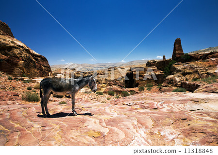 Beautiful red rock formations in Petra 11318848