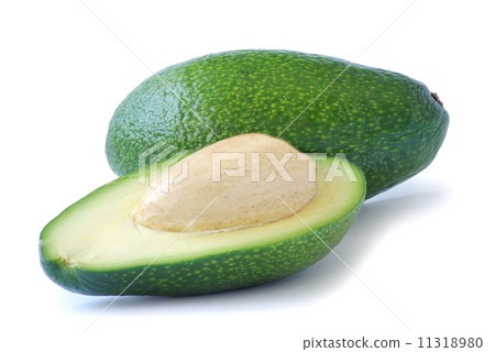 avocado 11318980