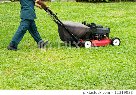 mowing the lawn mowing the lawn 11319088